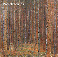 Forêt