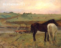 Chevaux dans un Pré