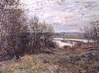 Le Bois de Roches-Courtaut, près de By