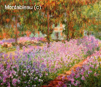 Iris dans le jardin de Monet