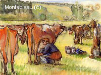 La Traite des Vaches