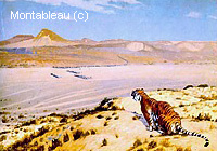 Tigre sur la Garde