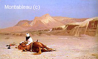 L'Arabe et son Cheval