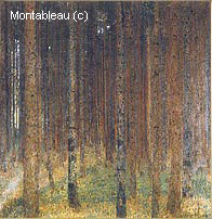 Forêt