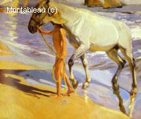 El bano del caballo