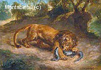 Lion et Caïman