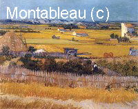 Paysage de moisson