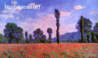 Champ de coquelicots à Giverny