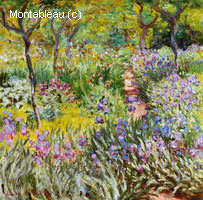 Le jardin d'iris à Giverny