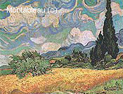 Cornfield and Cypresses