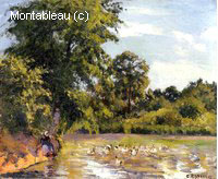 Vieille Femme aux Canards à Montfoucault