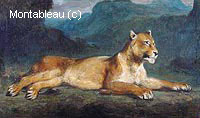 Lionne Couchée