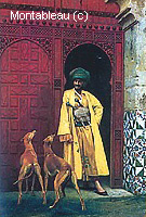 Un Arabe et son Chien