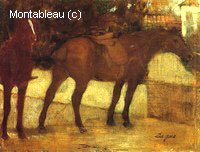 Etude de Chevaux