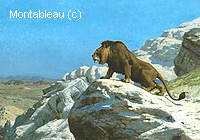 Lion sur la Garde