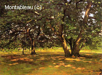 Forêt de Fontainebleau