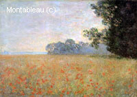 Champ d'avoine et coquelicots