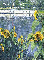 Tournesols sur les Bords de la Seine