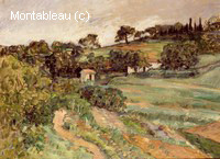 Paysage en Provence