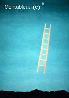 Ladder to the Moon