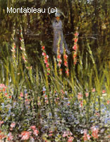 Le jardin, Gladioli