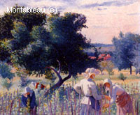 Femmes liant la vigne